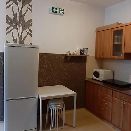 Hostel Viktor *