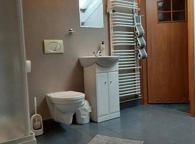 Viktor Kalwaria Zebrzydowska